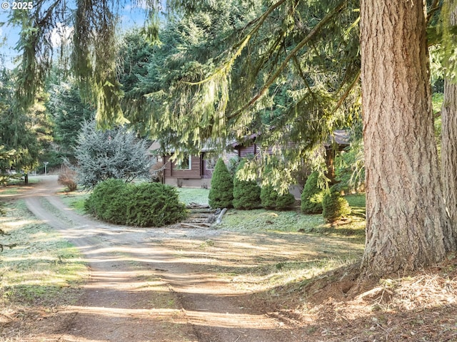 29975 E Meissner Rd, Deer Island, OR 97054 - view of dirt / gravel road