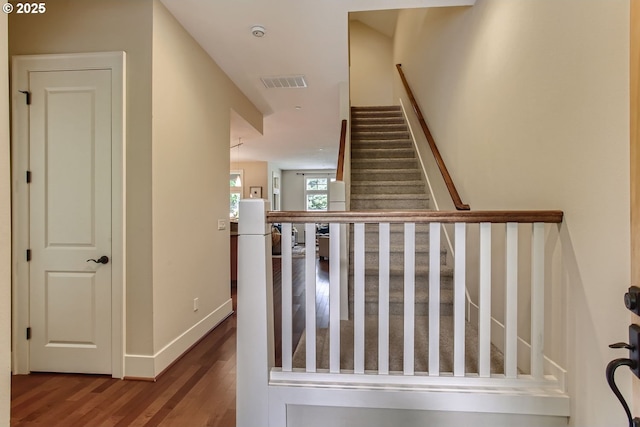 stairs featuring hardwood / wood-style flooring