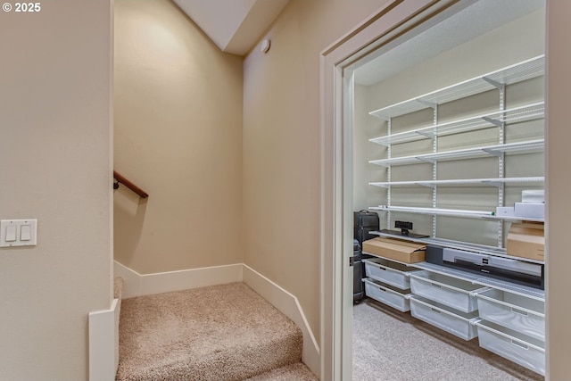 staircase featuring carpet floors