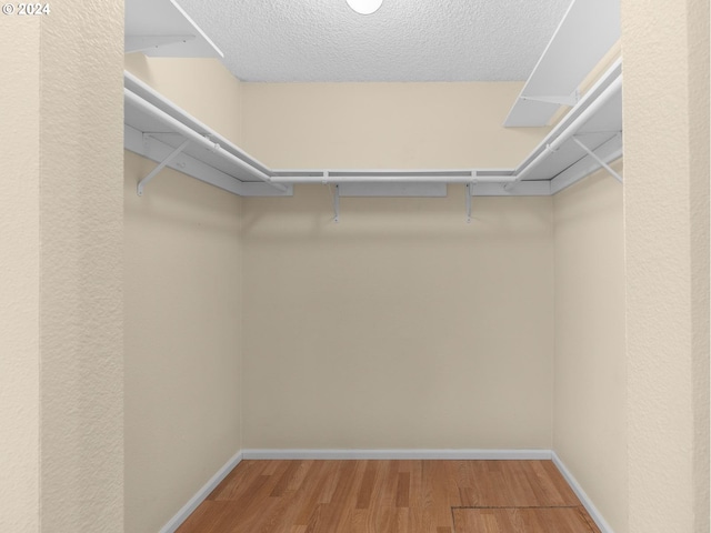 walk in closet featuring wood finished floors