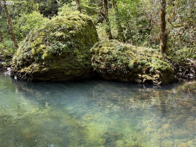 0 NE Crooked Finger Rd, Scotts Mills, OR 97375