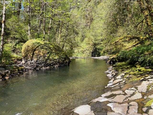 0 NE Crooked Finger Rd, Scotts Mills, OR 97375