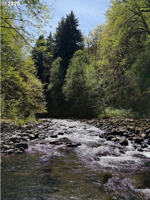 0 NE Crooked Finger Rd, Scotts Mills, OR 97375