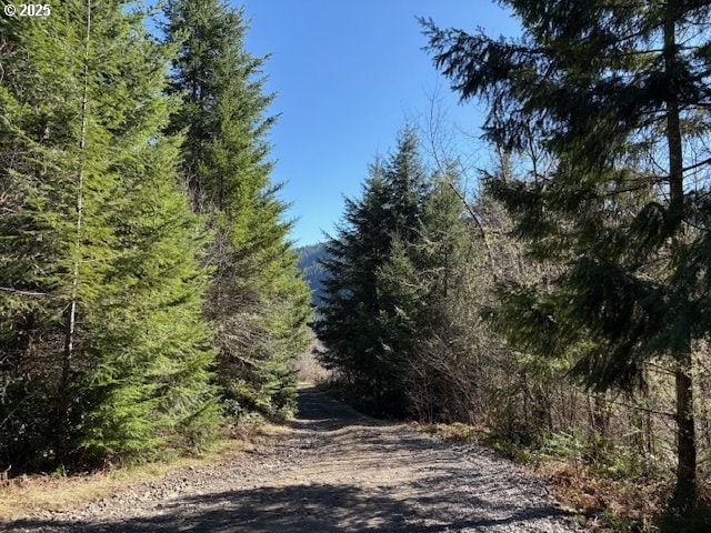 0 NE Crooked Finger Rd, Scotts Mills, OR 97375