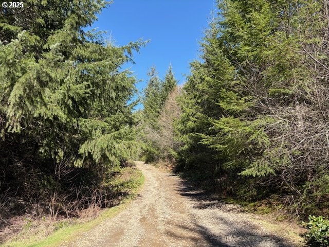 0 NE Crooked Finger Rd, Scotts Mills, OR 97375