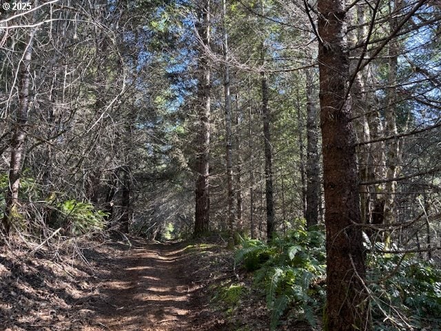 0 NE Crooked Finger Rd, Scotts Mills, OR 97375