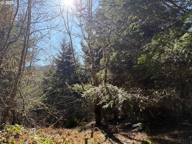 0 NE Crooked Finger Rd, Scotts Mills, OR 97375