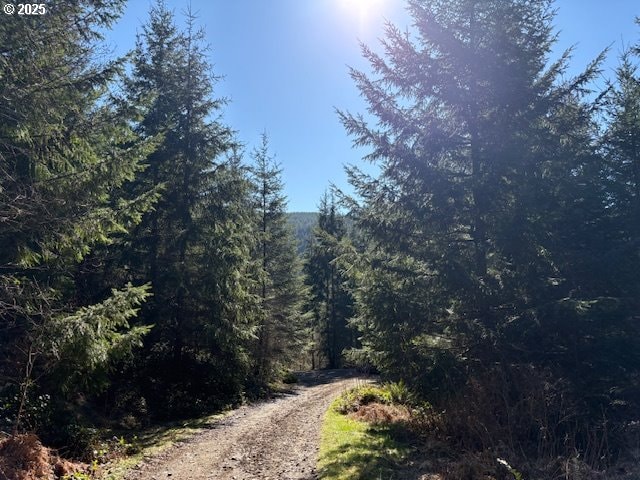 0 NE Crooked Finger Rd, Scotts Mills, OR 97375