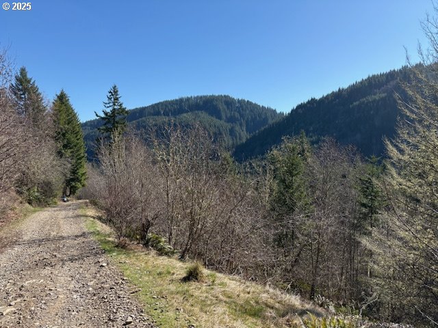 0 NE Crooked Finger Rd, Scotts Mills, OR 97375