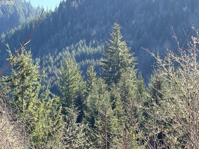 0 NE Crooked Finger Rd, Scotts Mills, OR 97375