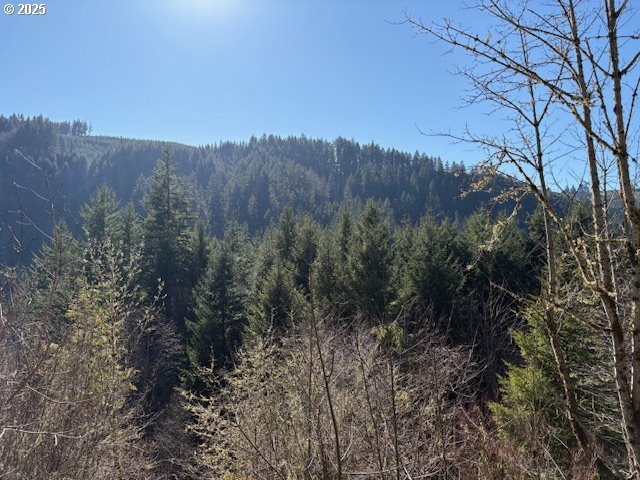 0 NE Crooked Finger Rd, Scotts Mills, OR 97375