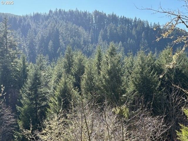 0 NE Crooked Finger Rd, Scotts Mills, OR 97375