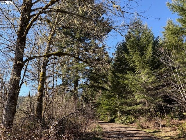 0 NE Crooked Finger Rd, Scotts Mills, OR 97375