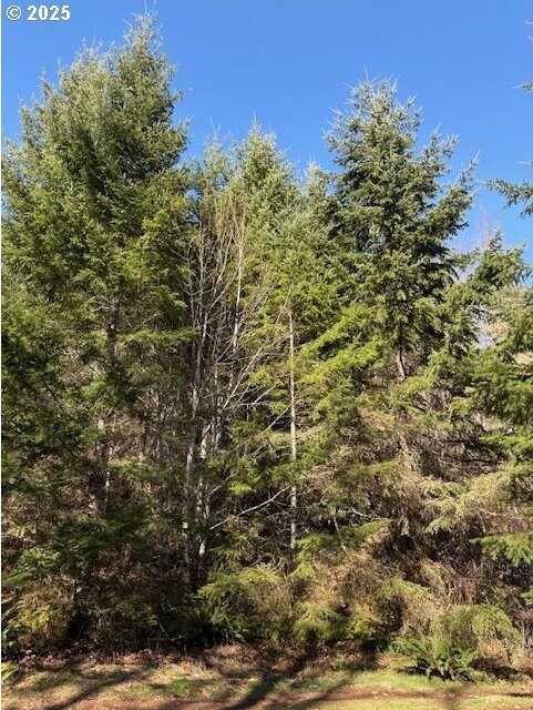 0 NE Crooked Finger Rd, Scotts Mills, OR 97375