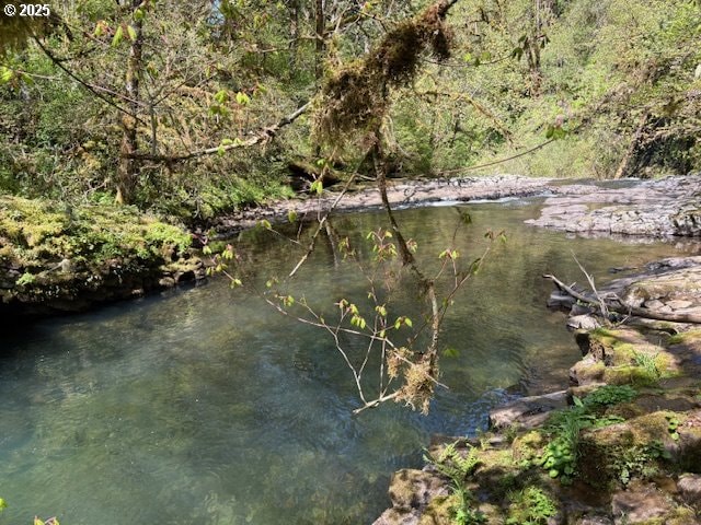 0 NE Crooked Finger Rd, Scotts Mills, OR 97375