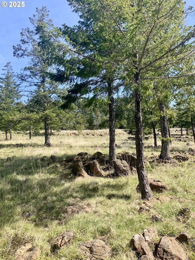95645 Spirit Ridge Rd, Gold Beach, OR 97444