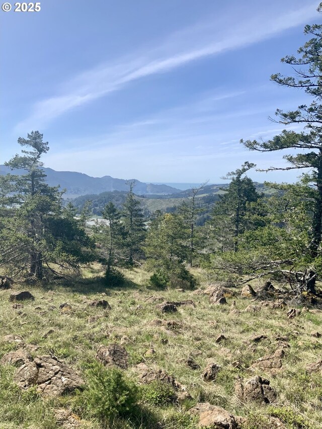 95645 Spirit Ridge Rd, Gold Beach, OR 97444