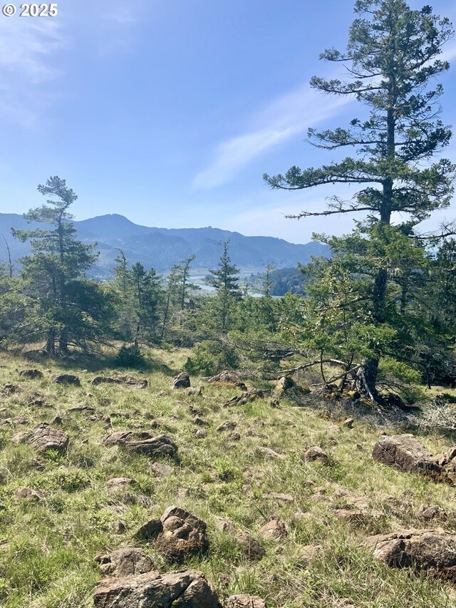 95645 Spirit Ridge Rd, Gold Beach, OR 97444