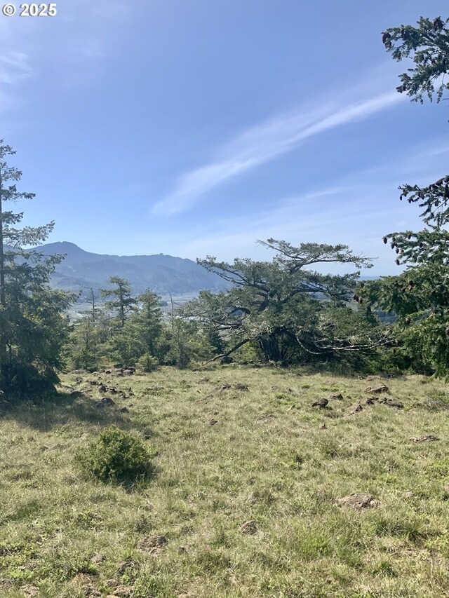95645 Spirit Ridge Rd, Gold Beach, OR 97444