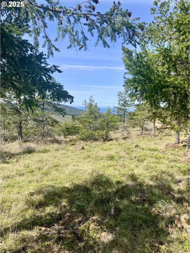 95645 Spirit Ridge Rd, Gold Beach, OR 97444