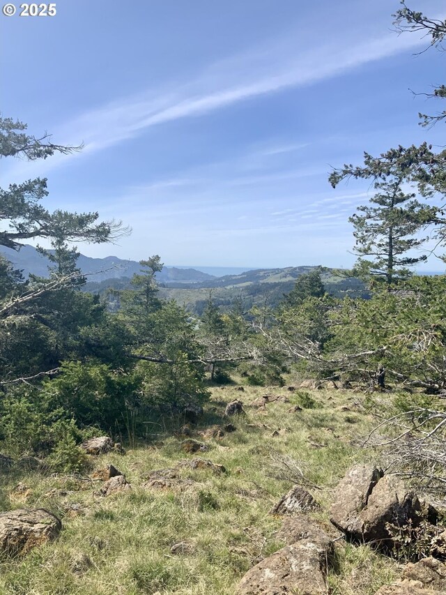 95645 Spirit Ridge Rd, Gold Beach, OR 97444
