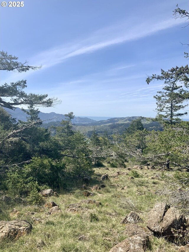 95645 Spirit Ridge Rd, Gold Beach, OR 97444