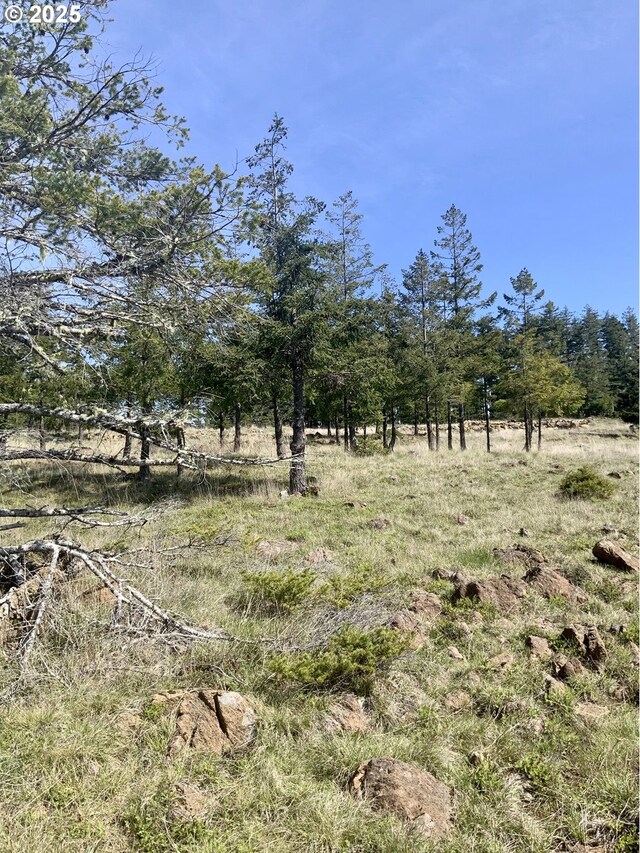 95645 Spirit Ridge Rd, Gold Beach, OR 97444