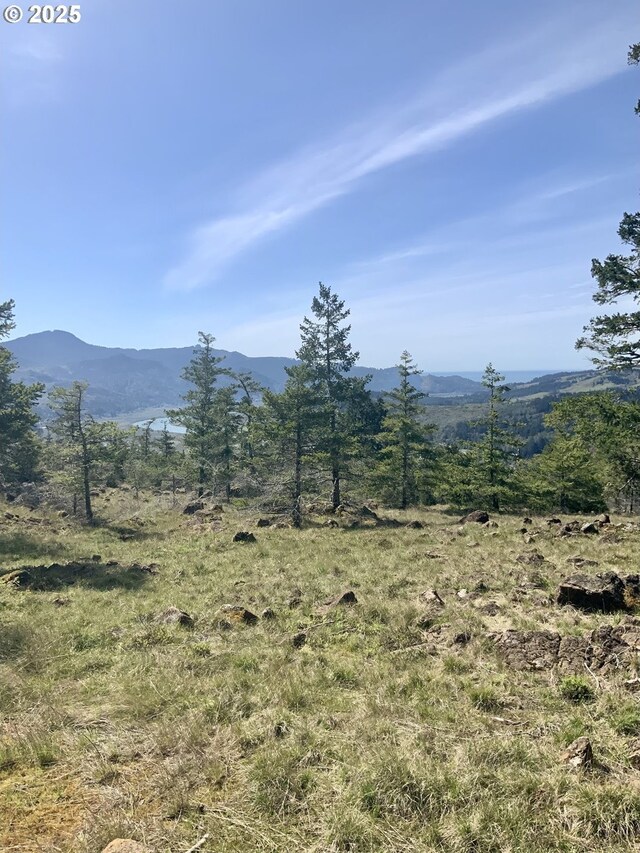 95645 Spirit Ridge Rd, Gold Beach, OR 97444