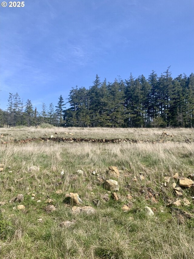 95645 Spirit Ridge Rd, Gold Beach, OR 97444
