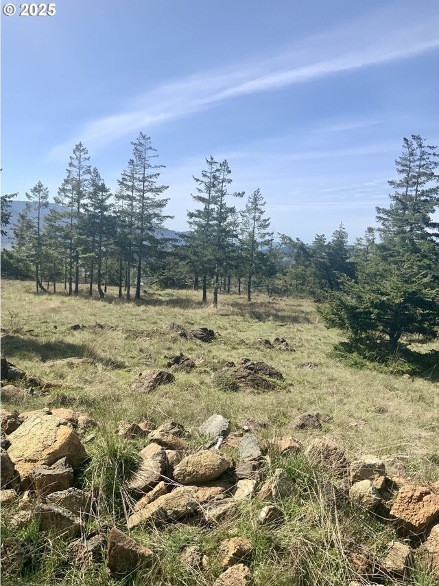 95645 Spirit Ridge Rd, Gold Beach, OR 97444