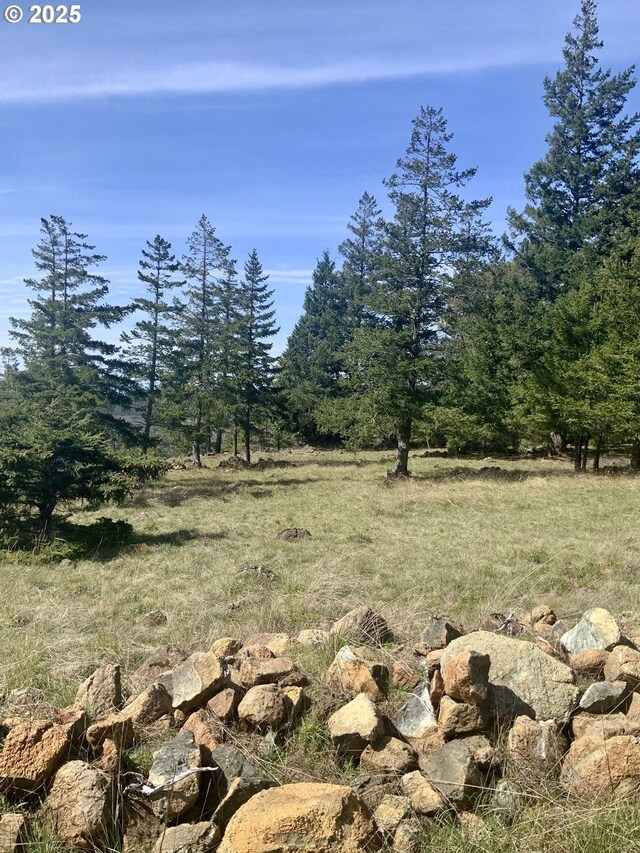 95645 Spirit Ridge Rd, Gold Beach, OR 97444
