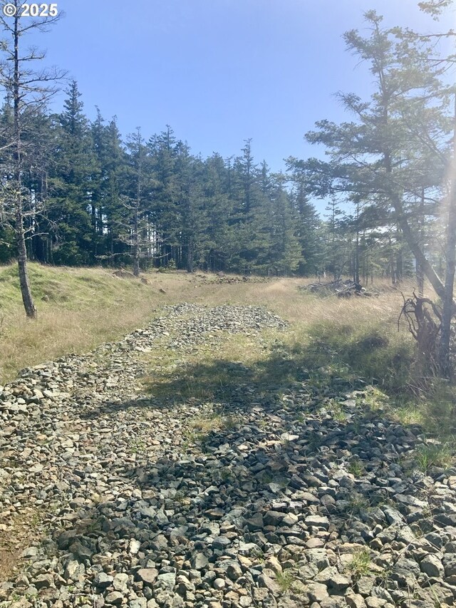 95645 Spirit Ridge Rd, Gold Beach, OR 97444