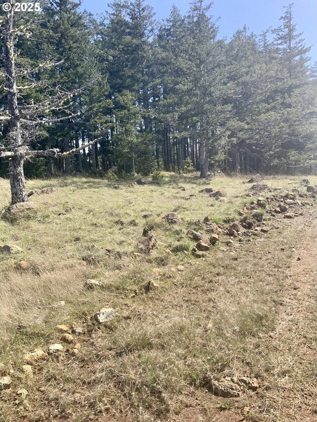 95645 Spirit Ridge Rd, Gold Beach, OR 97444