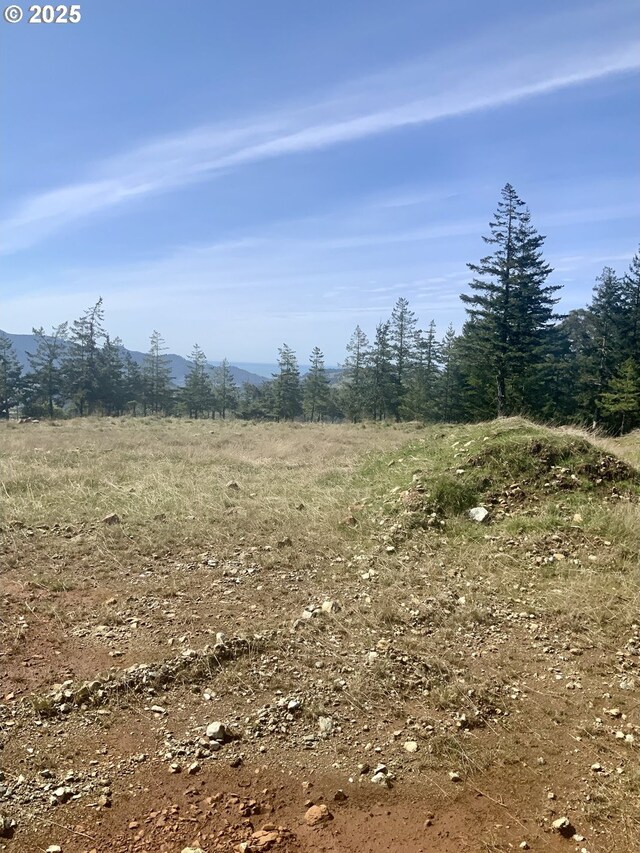 95645 Spirit Ridge Rd, Gold Beach, OR 97444