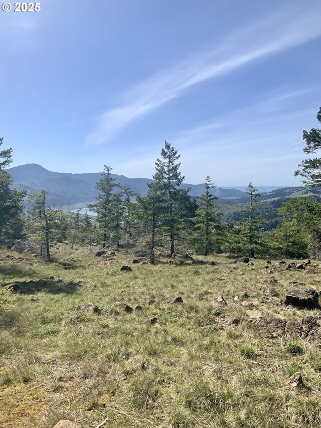 95645 Spirit Ridge Rd, Gold Beach, OR 97444