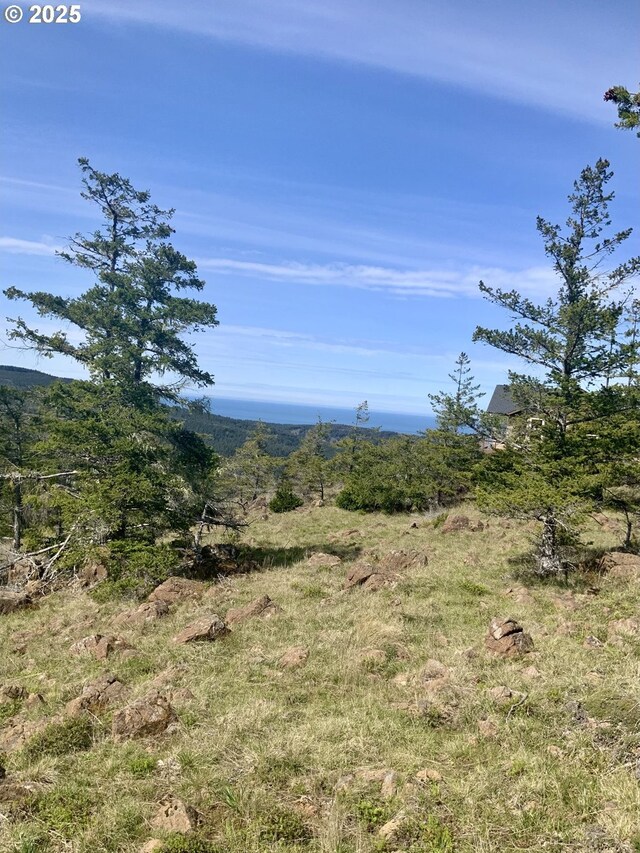 95645 Spirit Ridge Rd, Gold Beach, OR 97444