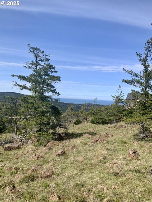 95645 Spirit Ridge Rd, Gold Beach, OR 97444