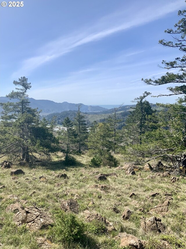 95645 Spirit Ridge Rd, Gold Beach, OR 97444