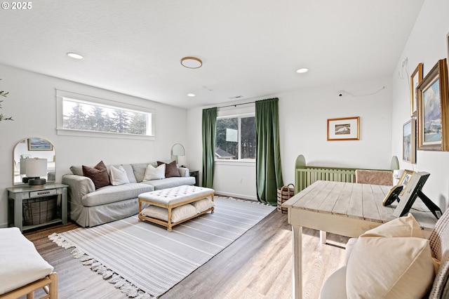 living room featuring hardwood / wood-style flooring