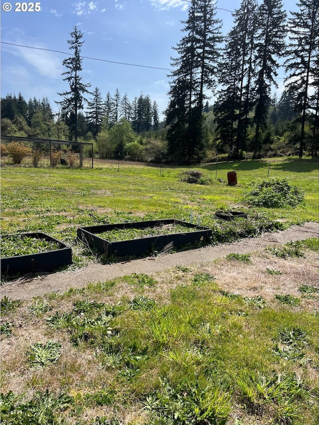view of yard featuring a vegetable garden