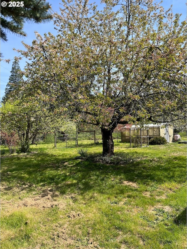 view of yard with fence and a gate