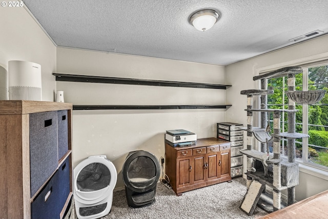 112 Stoneway Ln, Longview, WA 98632 - carpeted office featuring a textured ceiling