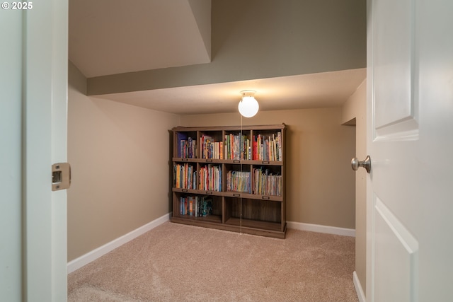 interior space featuring baseboards and carpet