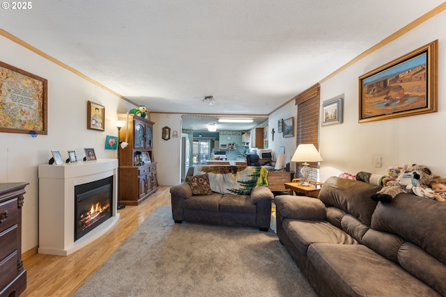 540 Kesling St, Harrisburg, OR 97446 - living area featuring crown molding, light wood-style floors, and a glass covered fireplace
