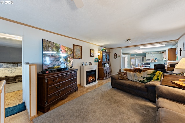 540 Kesling St, Harrisburg, OR 97446 - living room featuring crown molding, light wood-style floors, and a warm lit fireplace