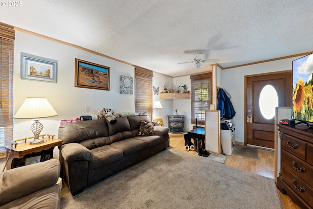 540 Kesling St, Harrisburg, OR 97446 - living area featuring ornamental molding, a ceiling fan, a textured ceiling, light wood-style floors, and baseboards