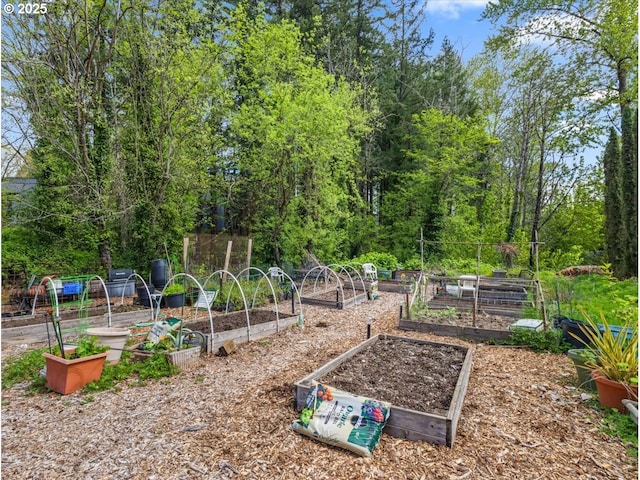 exterior space featuring a garden