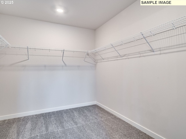 walk in closet with carpet