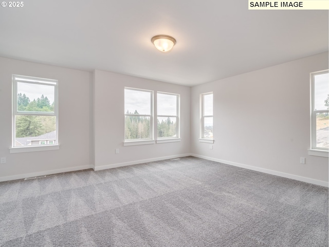 carpeted empty room featuring plenty of natural light