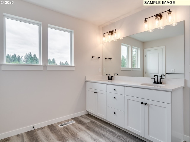 bathroom with hardwood / wood-style flooring and vanity